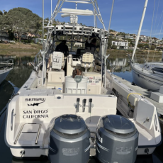 32 ft Grady White