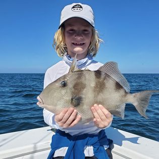 A Grey Triggerfish measuring 18 inches caught while fishing on Marco Island.