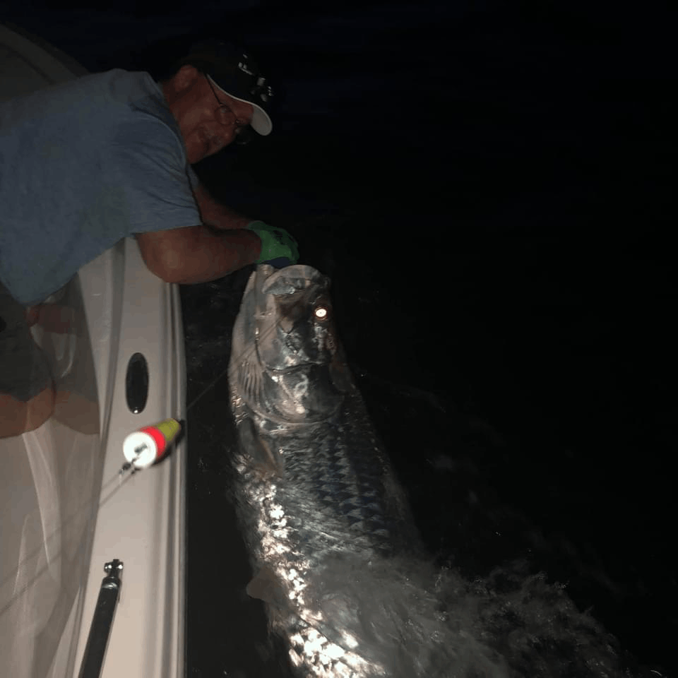 Fishing Charters in Key West | Night Fishing 