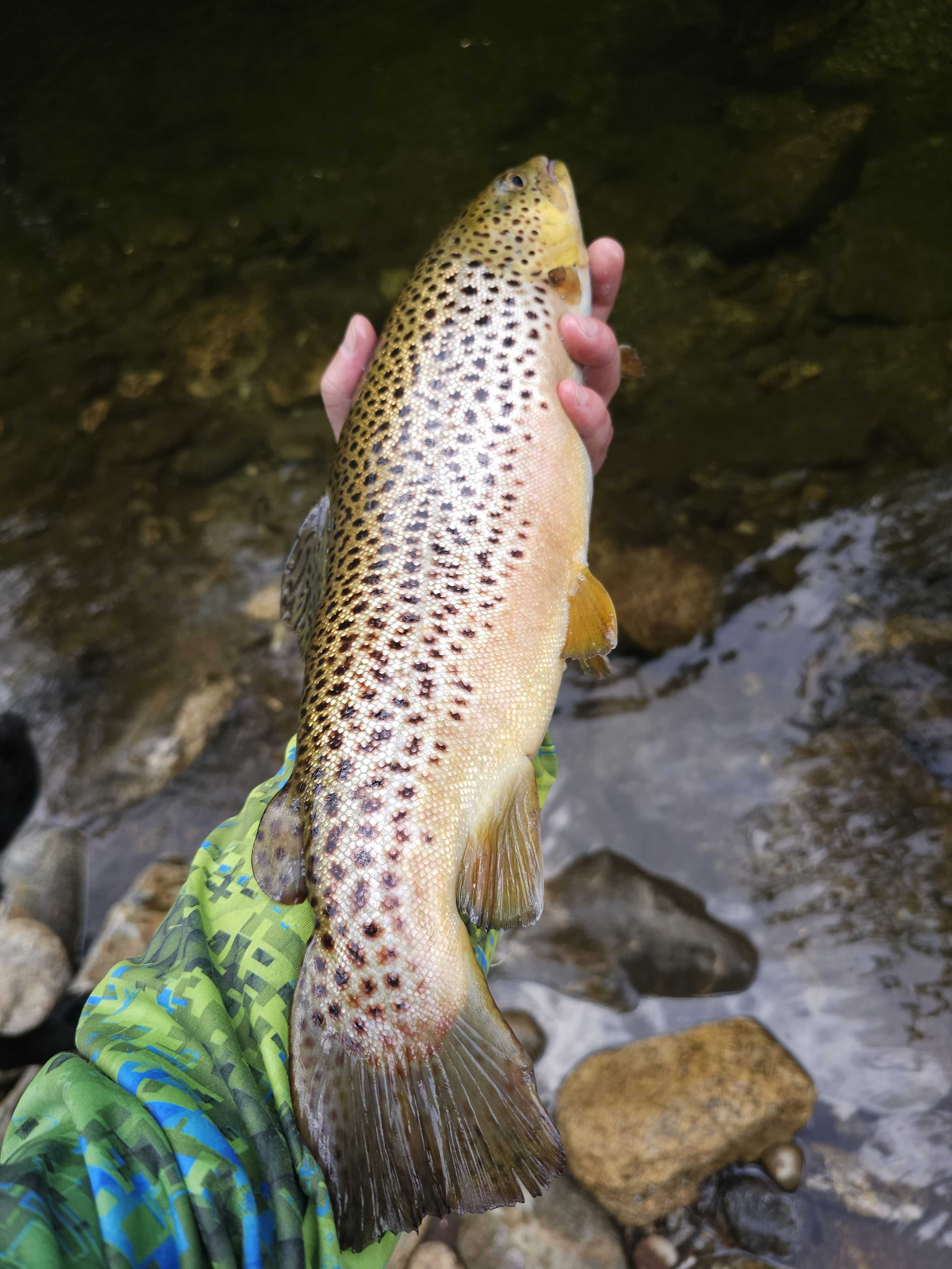 Best great fishing trip in NC