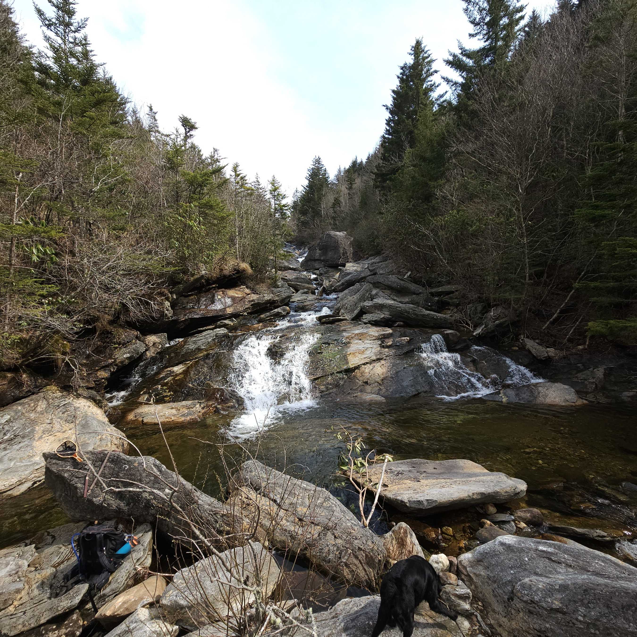 Stunning scenic view of Asheville landscape