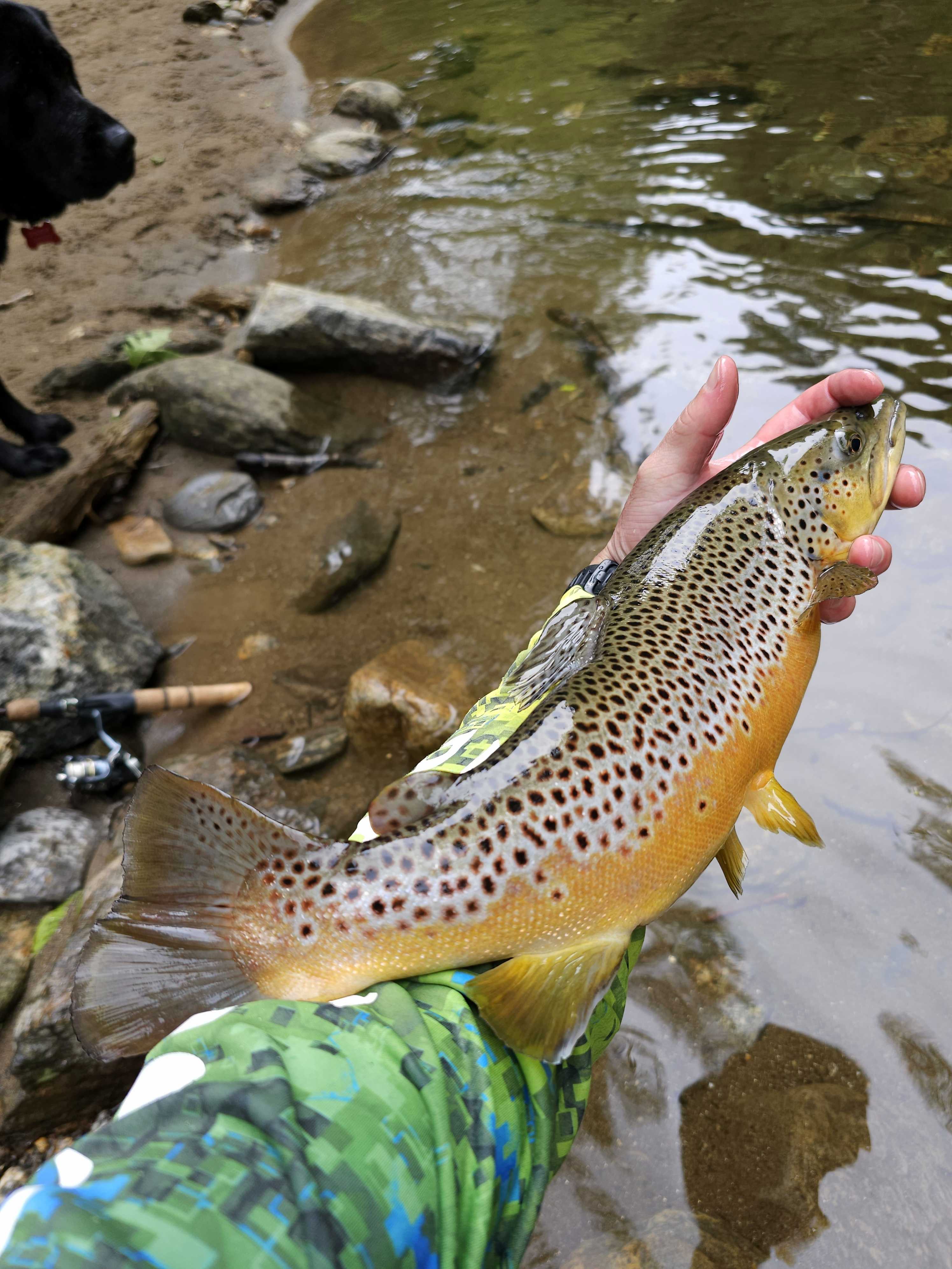 Fishing in North Carolina