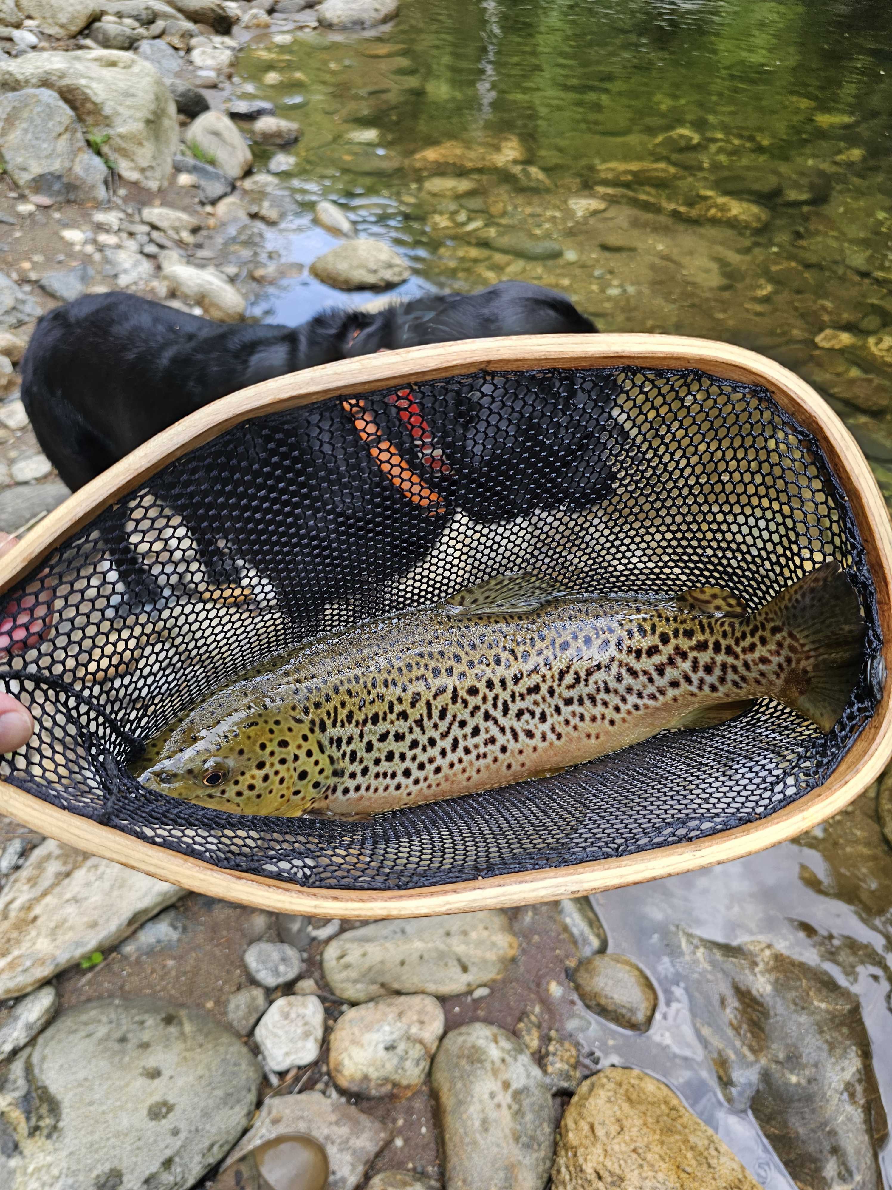 Great fishing trip in NC