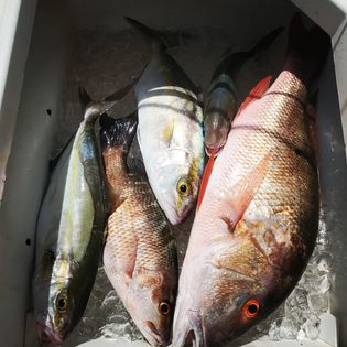 Four fishing rods with a beautiful ocean view in Florida