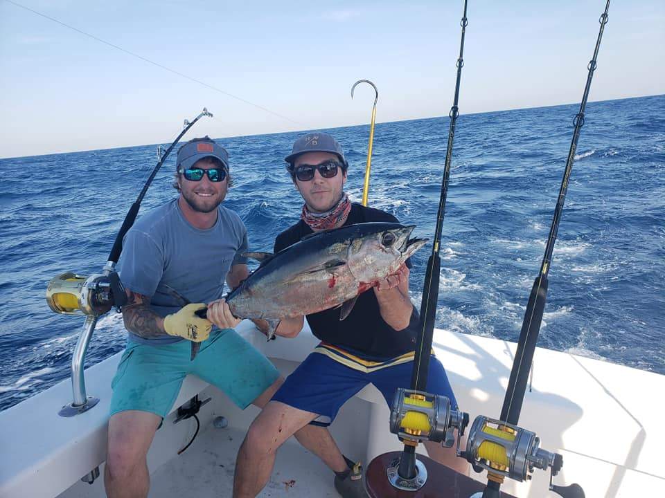 A single Atlantic Bonito fish measuring 18 inches, caught at Atlantic Beach
