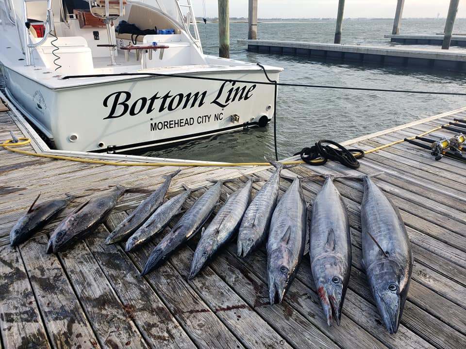 4 fish caught in NC