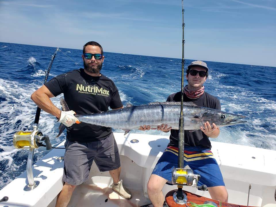 Photo of a single Houndfish, 40 inches long, caught in NC