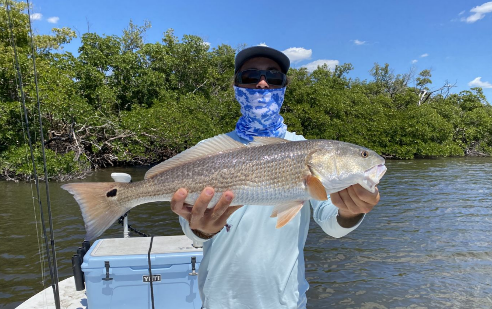 A redfish measuring 30 inches caught while fishing in FL