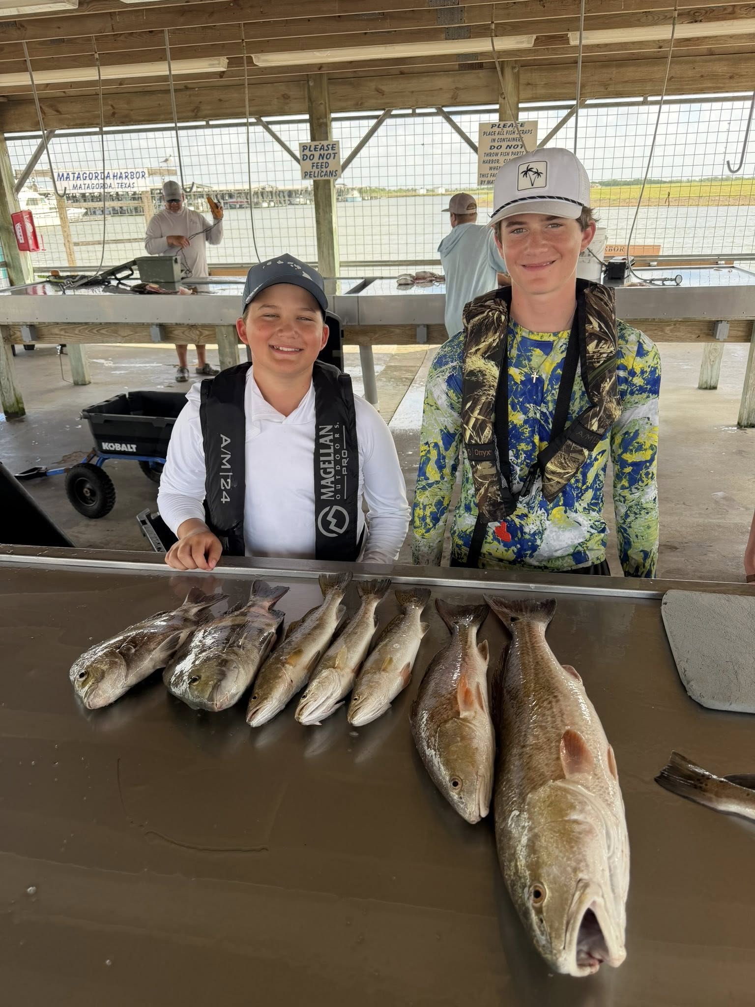 Fresh caught redfish and speckled trout displayed on cleaning table at Matagorda Texas fishing station