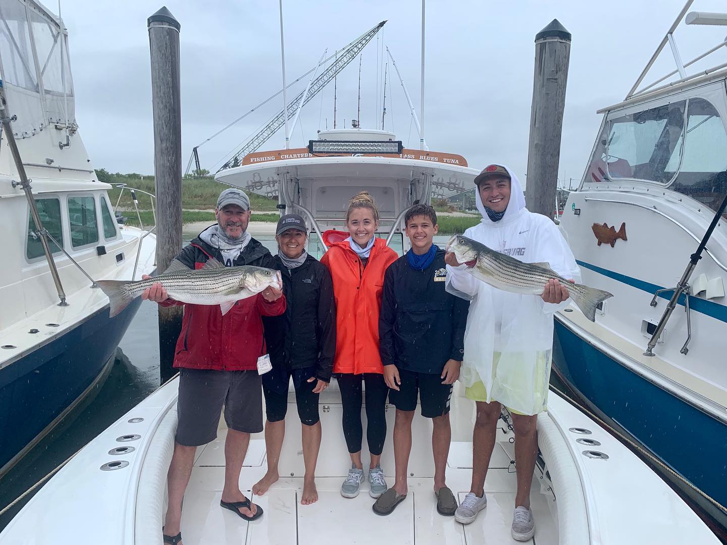 Two striped bass caught in Orleans, fishing