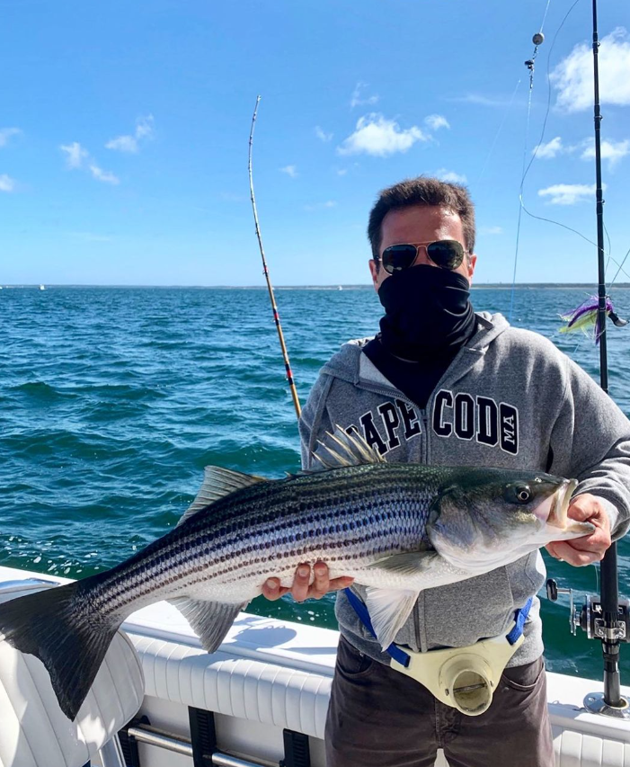 Striped bass caught while fishing in MA