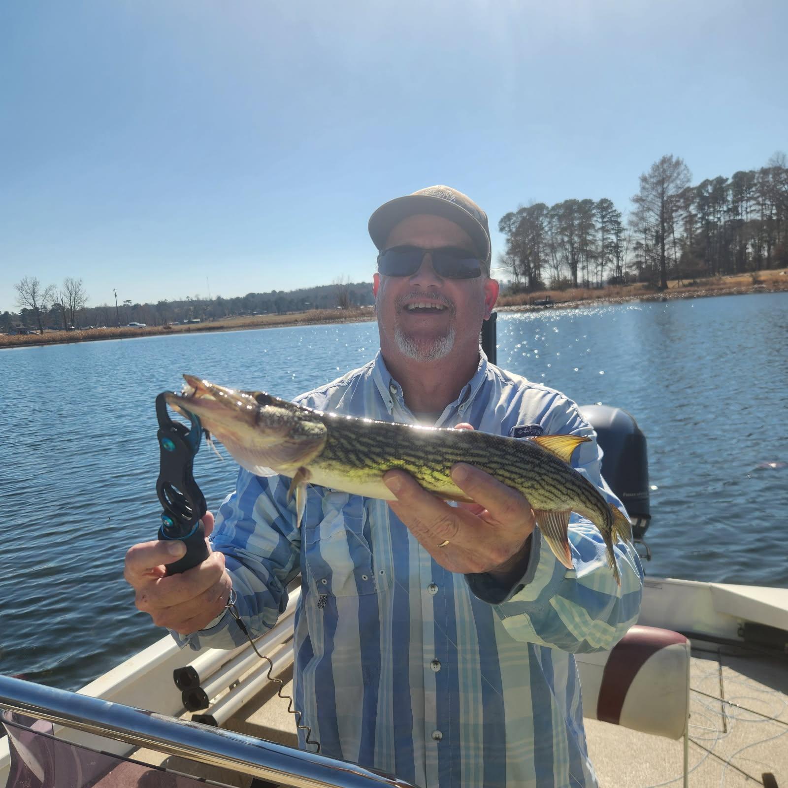 Chain pickerel caught during fishing trip in Alba TX