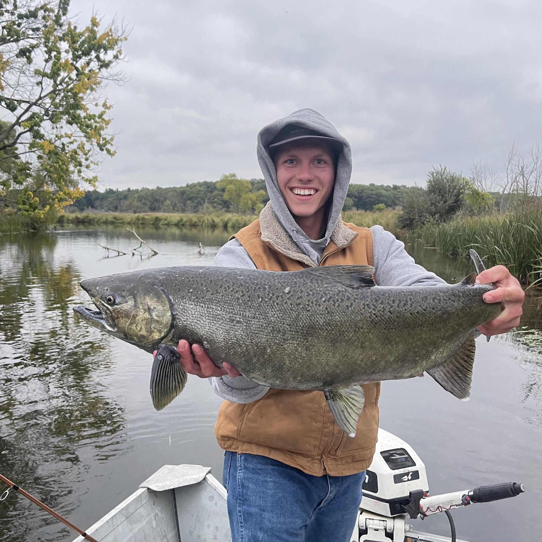 Chinook salmon, 30-inch fish caught while fishing in MI