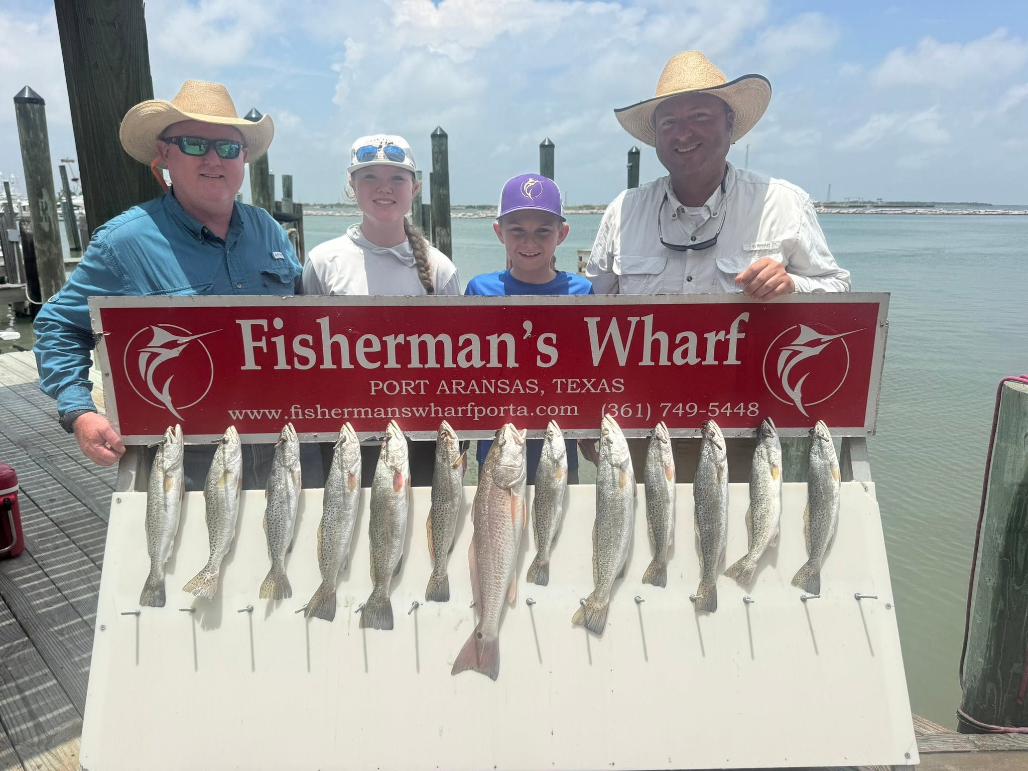 Twelve speckled trout displayed on cleaning table at Fisherman's Wharf in Aransas Pass Texas after successful fishing trip