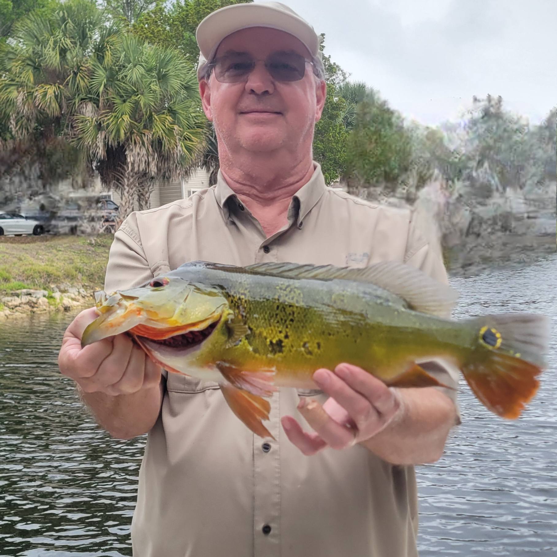 Peacock bass catch held near water in Bonita Springs Florida fishing location