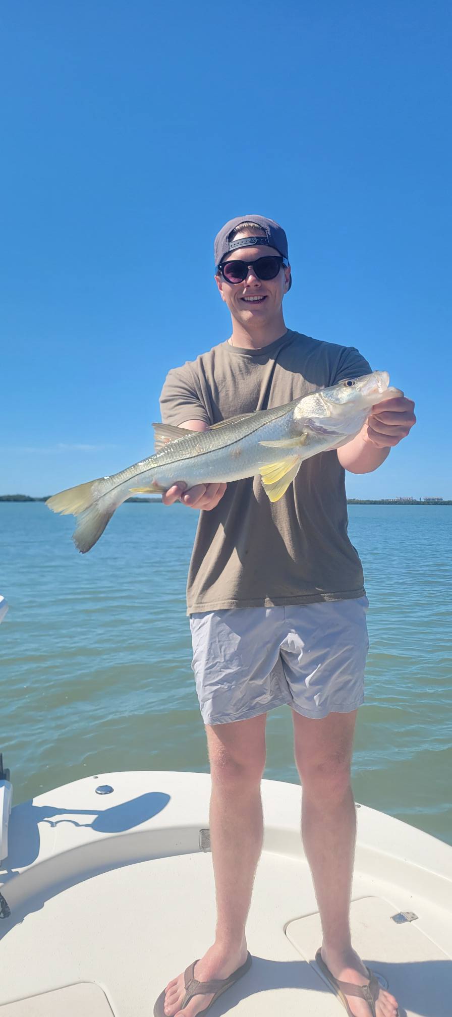 Snook caught while fishing in Bonita Springs FL waters