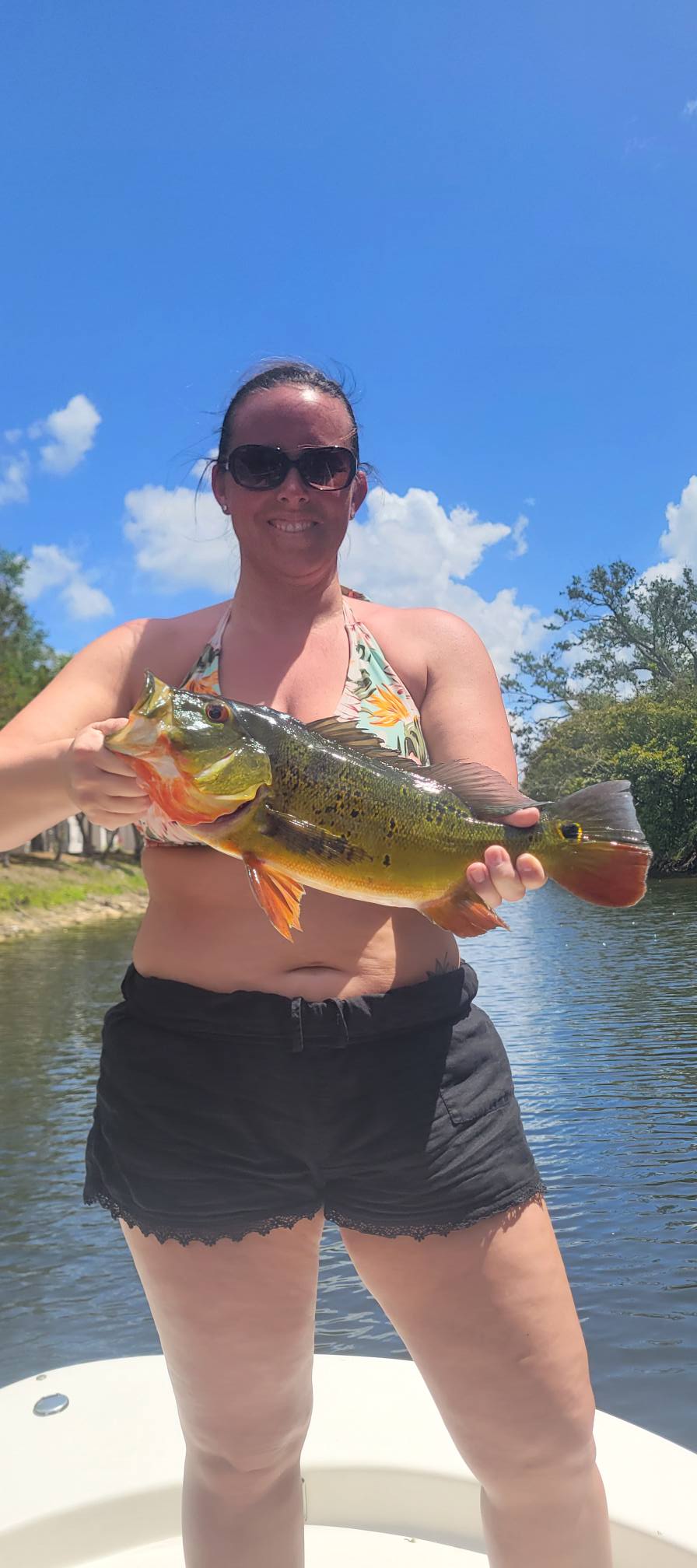 Peacock bass caught while fishing in Bonita Springs Florida