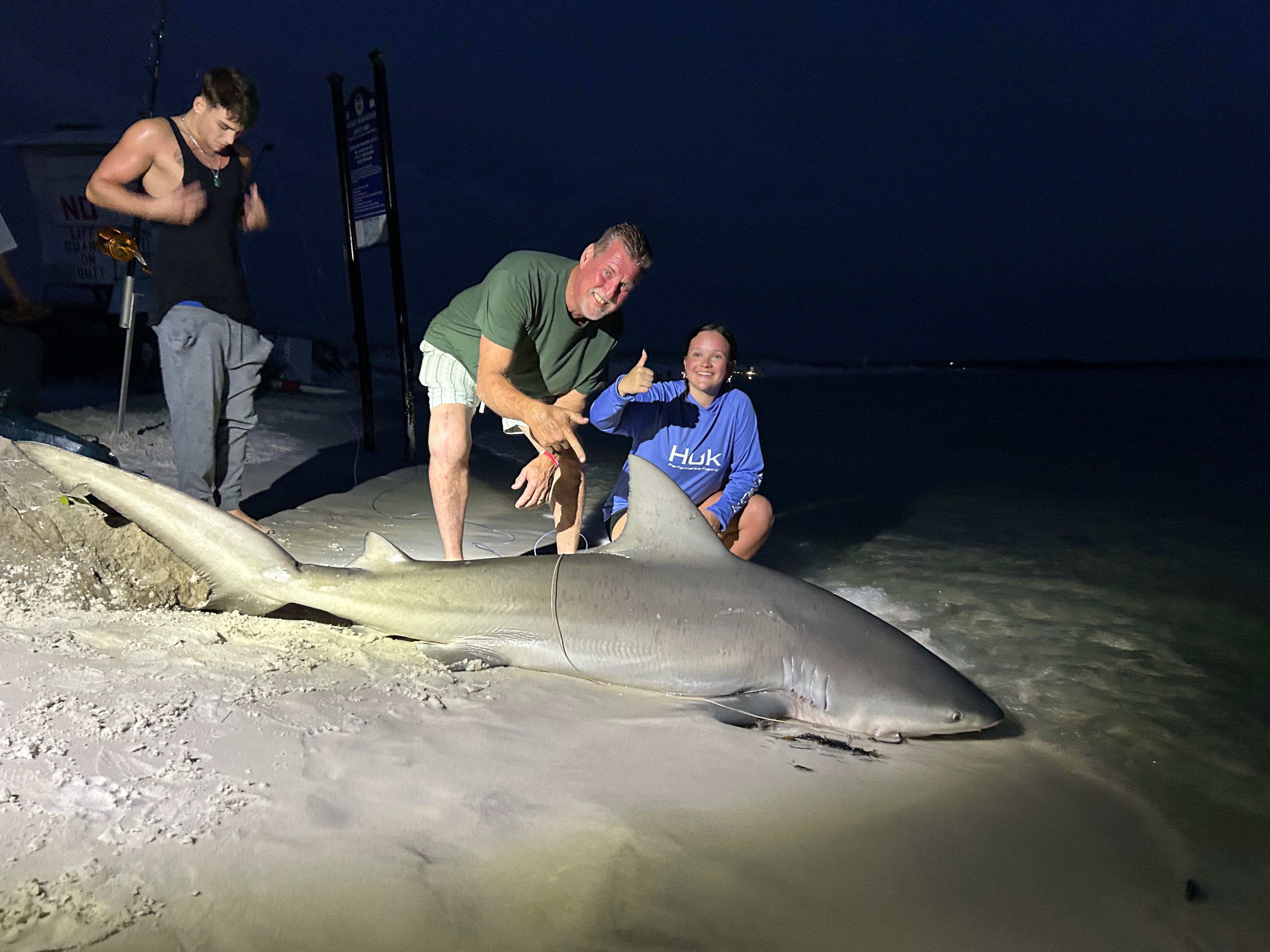 Bull shark catch on beach in Destin FL during nighttime fishing