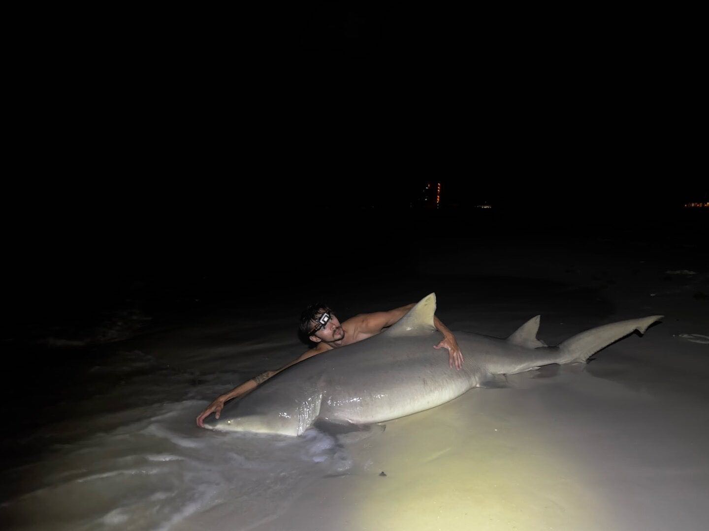 Lemon shark catch in shallow water at night in Destin Florida