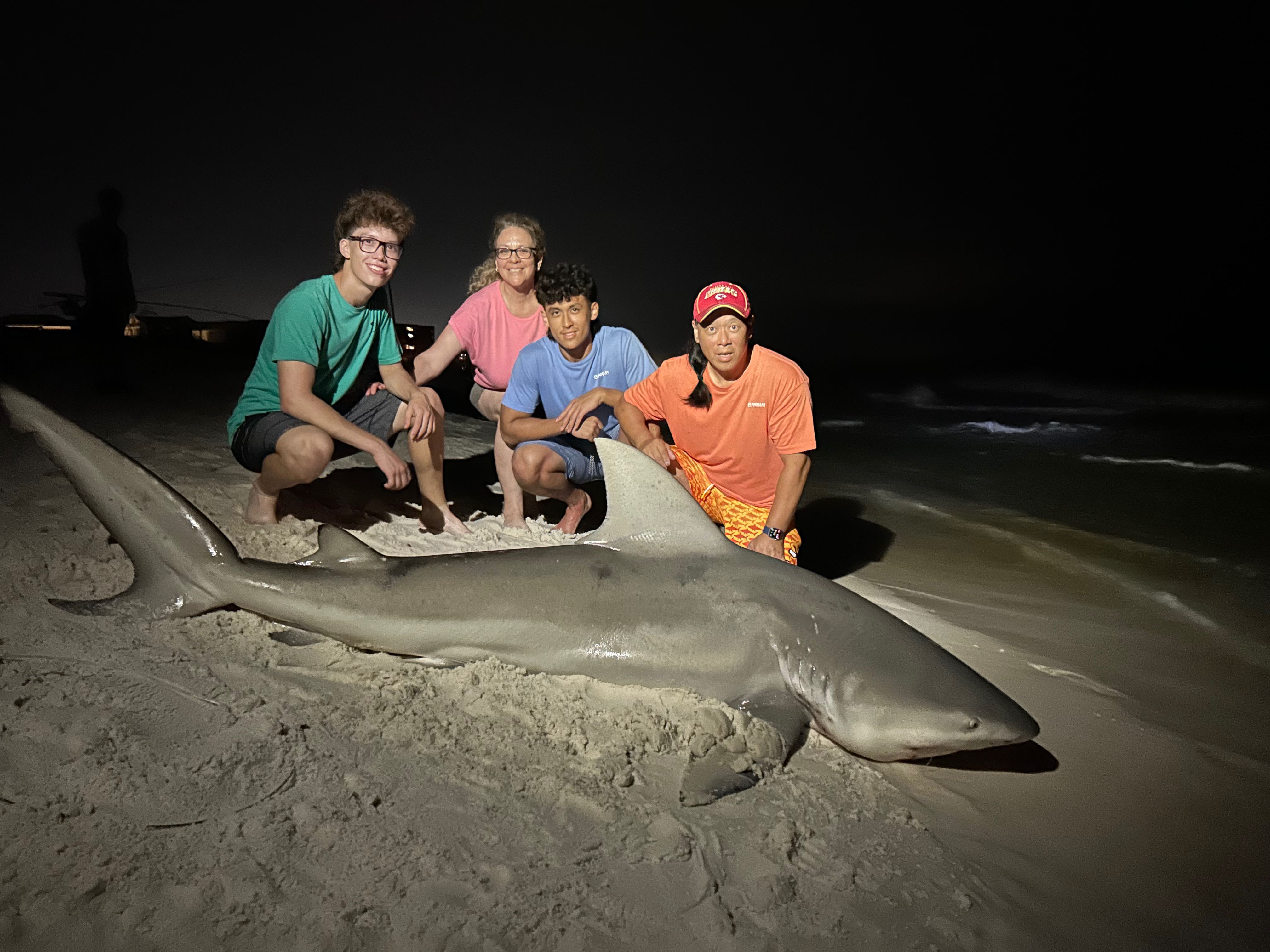 Large sandbar shark caught while fishing in Destin FL with group posing on beach at night