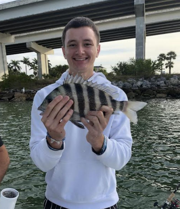 Sheepshead fish caught during fishing tour in St. Petersburg