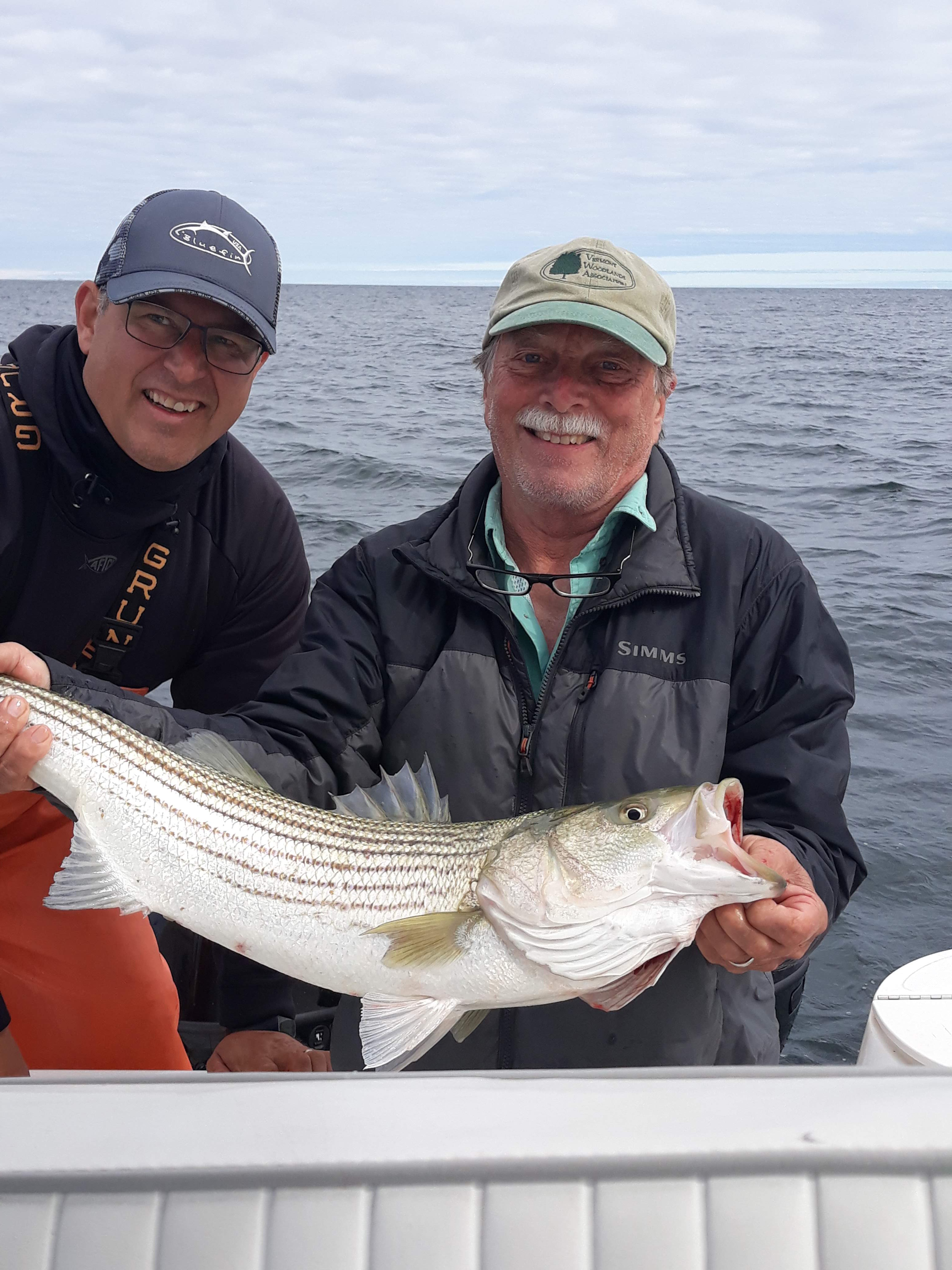 Striped bass fishing in MA