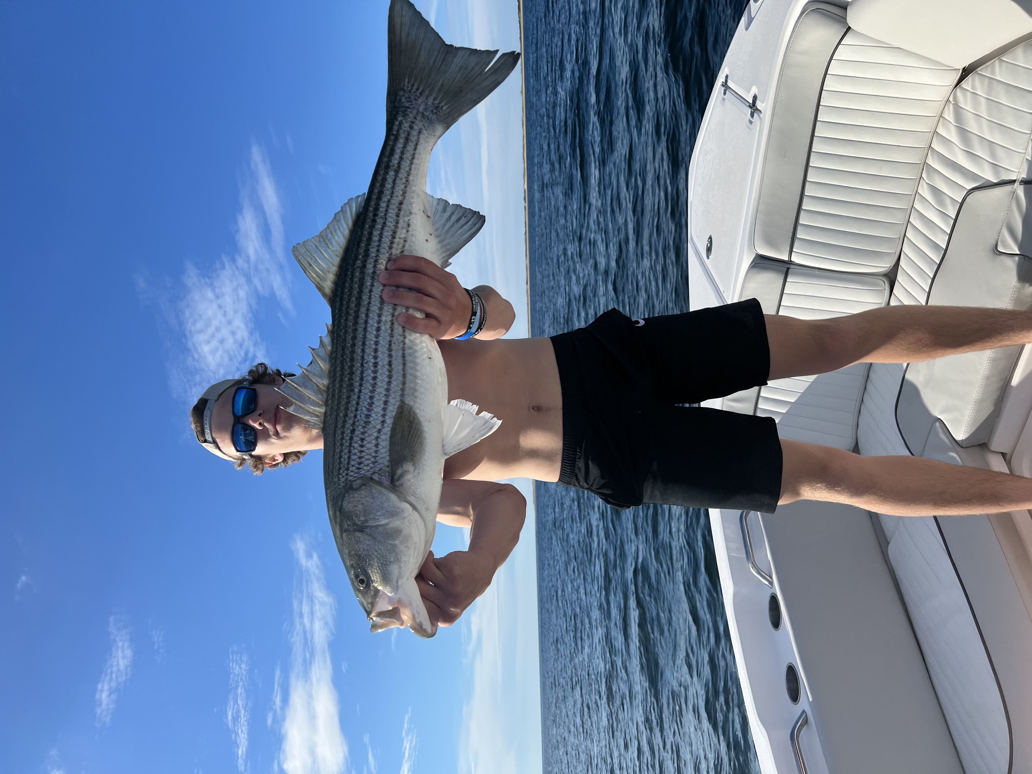 Striped bass caught in Provincetown