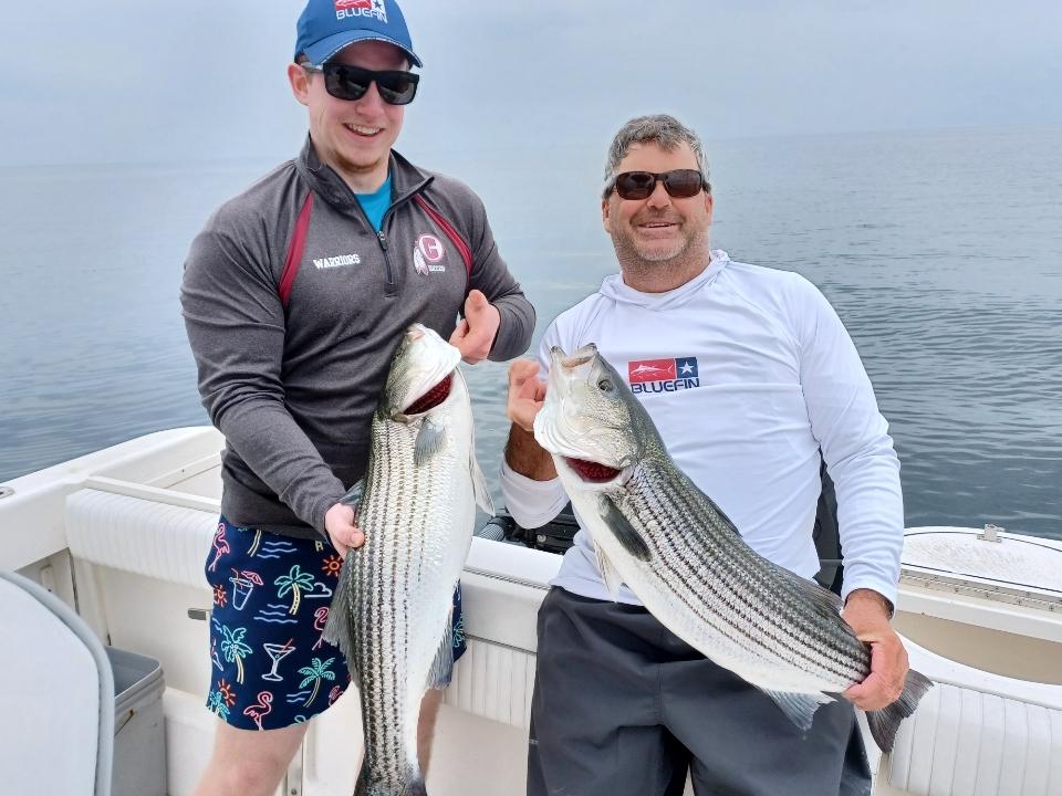 Two striped bass caught in Provincetown