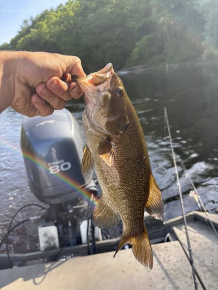 Smallmouth bass caught fishing in Newaygo County Michigan held above boat motor