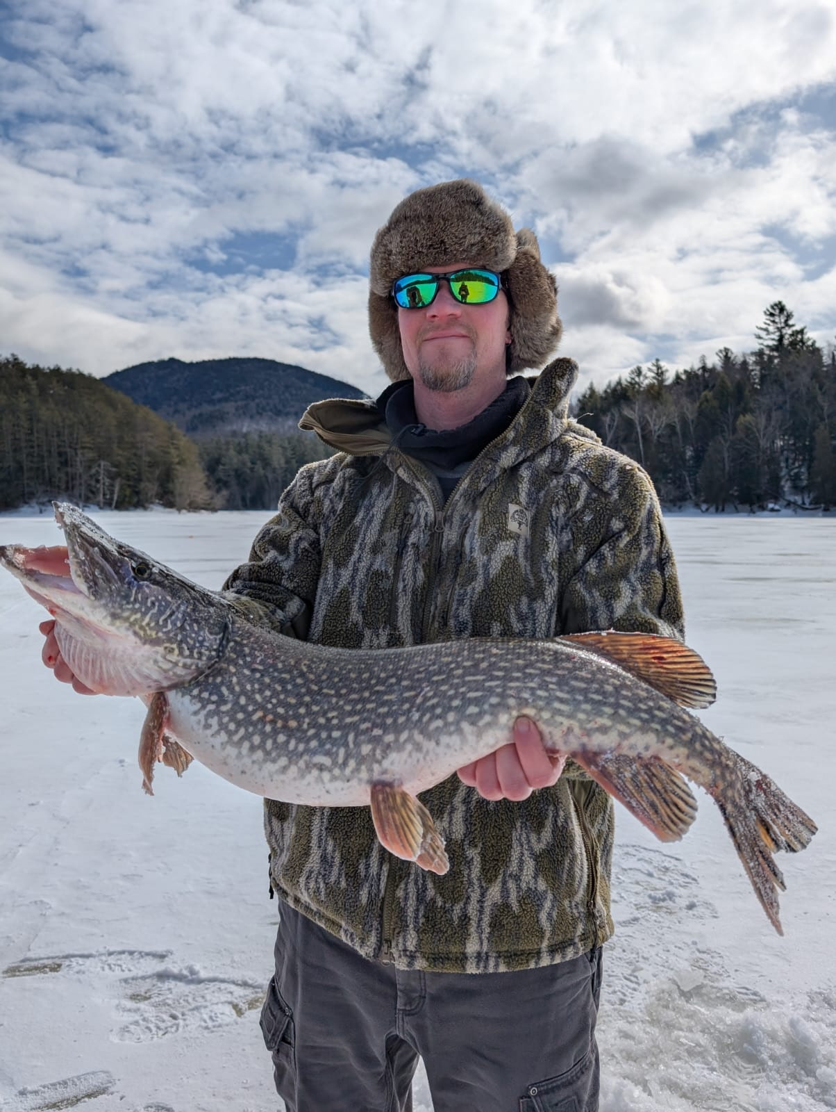 Northern Pike being caught while fishing