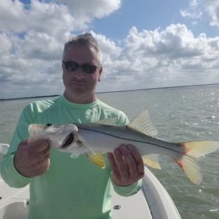 Photograph of an angler fishing for a snook fish in Islamorada