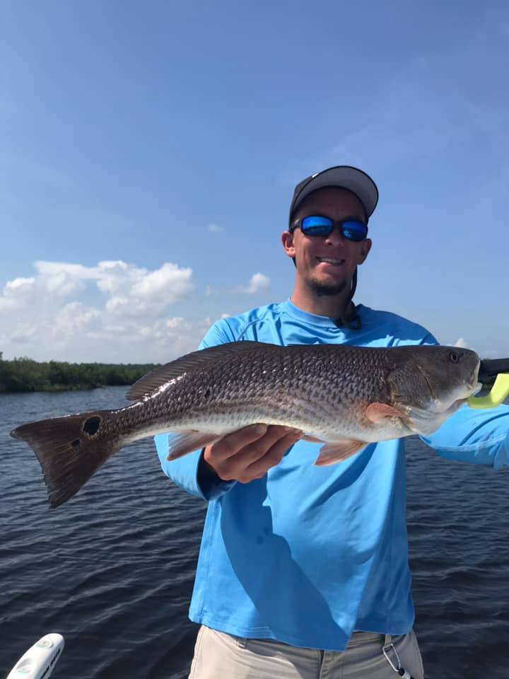 Redfish caught at Hernando Beach