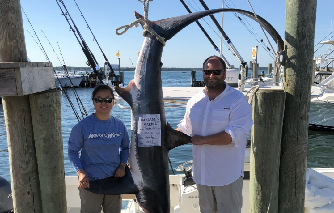 Large fish caught in Hampton Bays during fishing trip