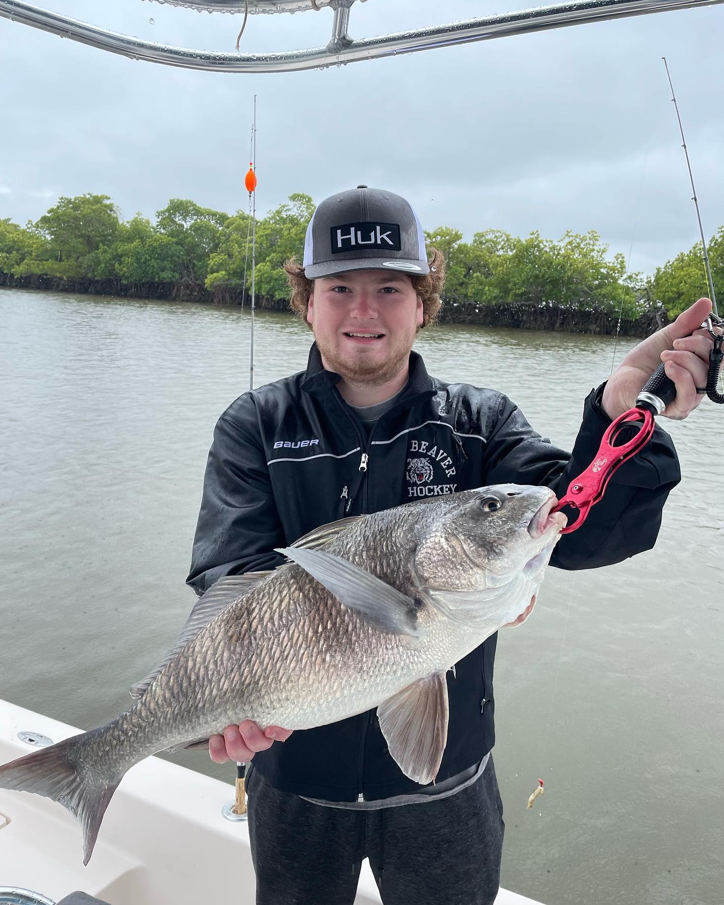 Photograph of a large black drum fish caught in Everglades City