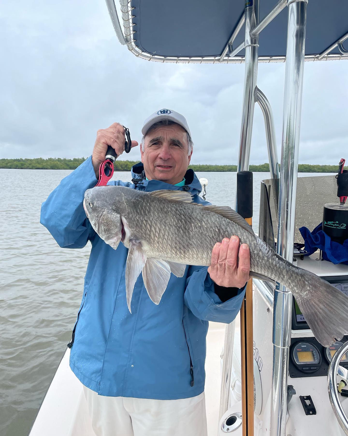 A massive black drum fish caught in Florida