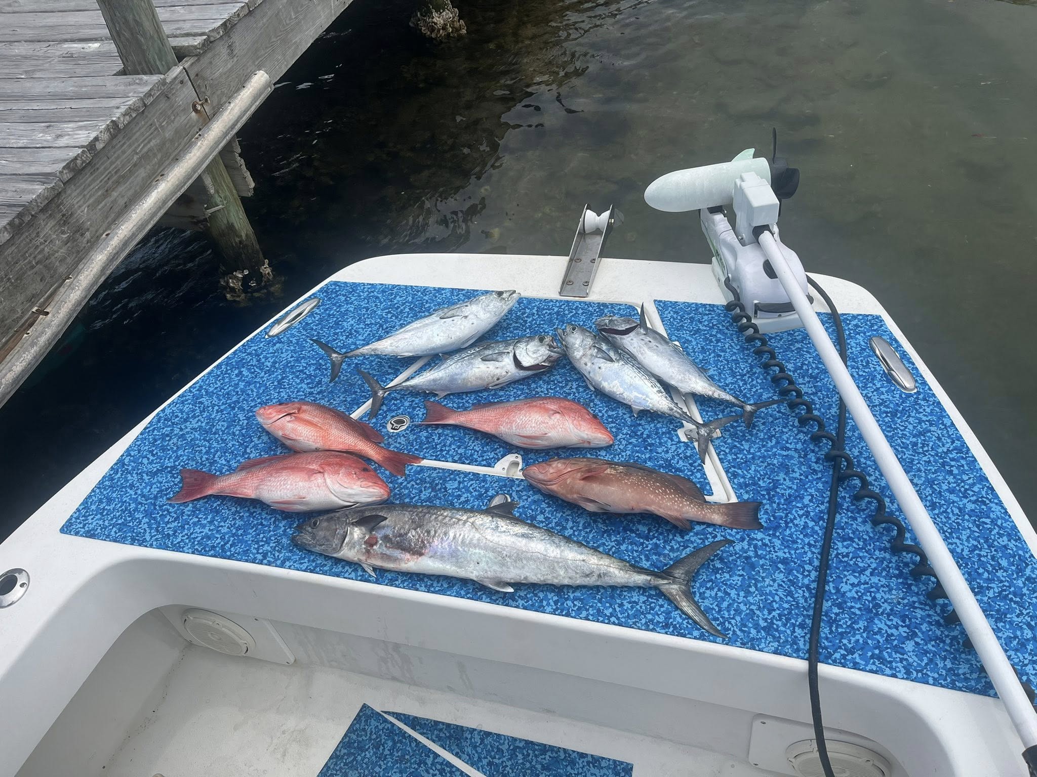 Fresh caught fish display on boat deck at Okaloosa Island FL including king mackerel, red snapper, red grouper, and little tunny