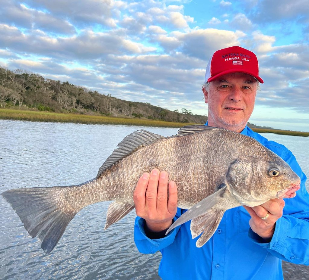 Black Drum fish caught while fishing in St. Augustine