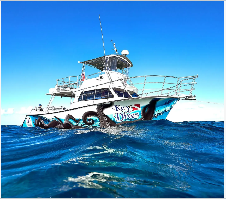 White dive boat with octopus graphics floating on blue ocean water in Chennai Tamil Nadu