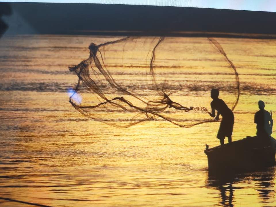 Fishing net being cast over golden water at sunset in Chennai Tamil Nadu
