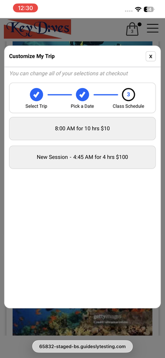 Mobile app interface showing trip customization options with time slots and pricing for guided tours