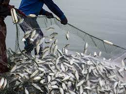 Personal fly fishing classes on flats - professional instruction for saltwater angling