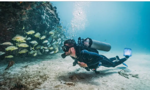 Open Water scuba certification dives on Florida Keys coral reefs with PADI instructor