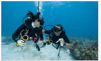 PADI Open Water scuba certification course in Florida Keys coral reefs with instructor