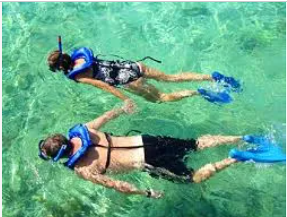 Florida Keys backcountry scuba diving adventure with clear waters and marine life