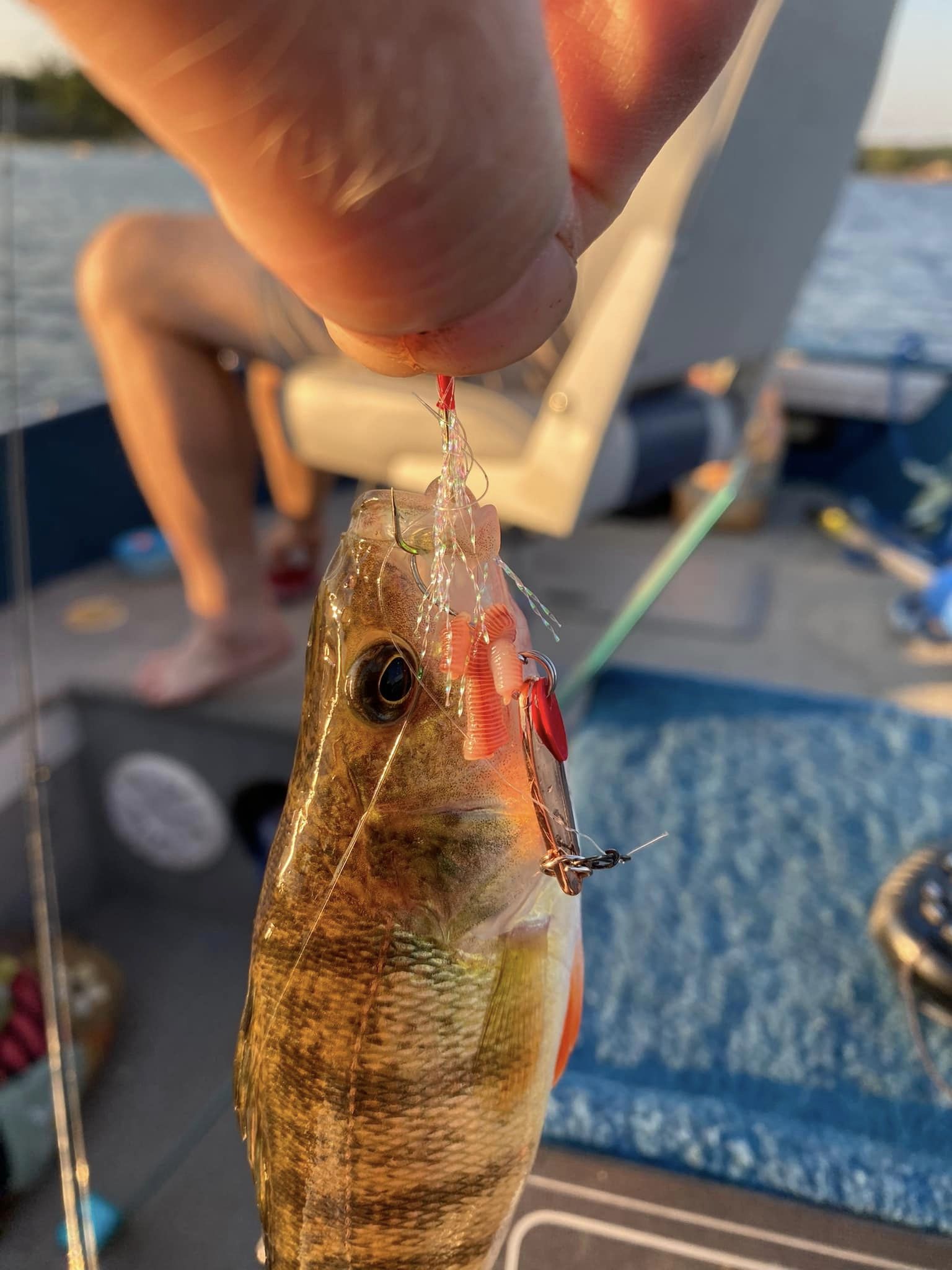 One fish caught in Lawton