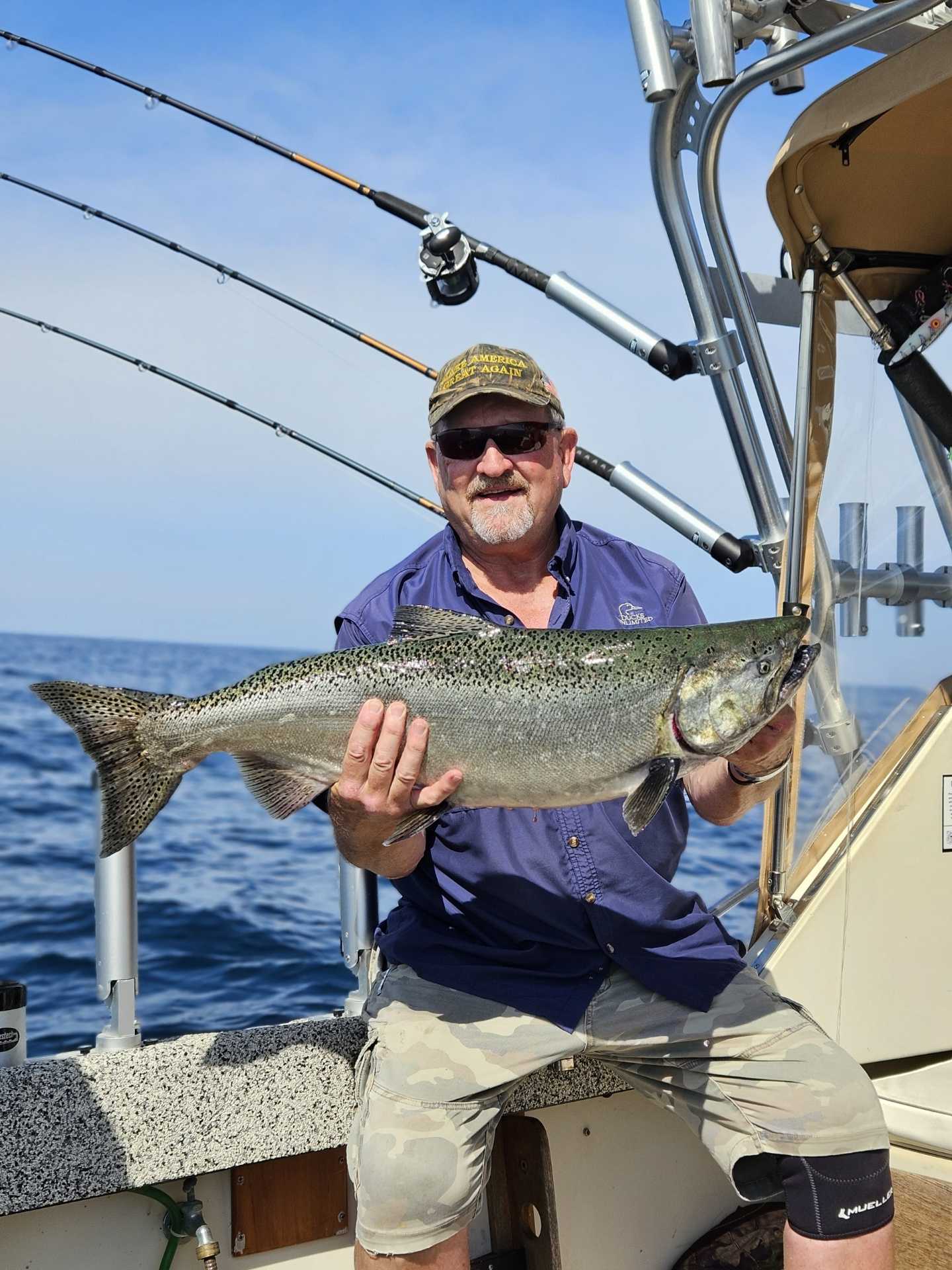 Chinook salmon catch on fishing boat in Manistee MI