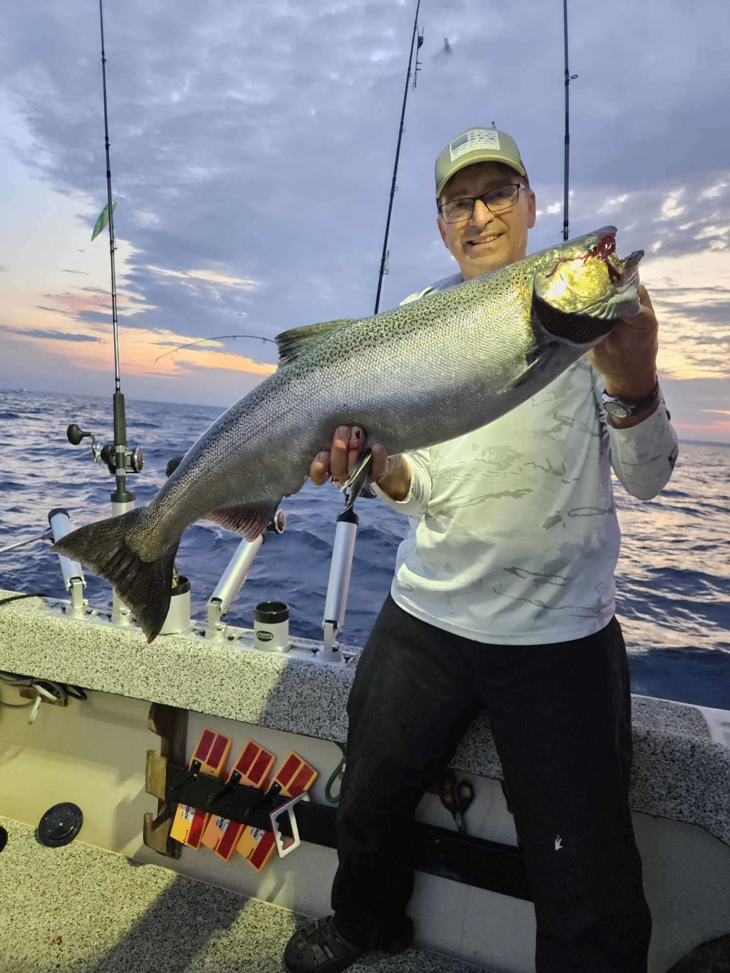 Chinook salmon caught during fishing trip in Manistee MI on charter boat at sunset