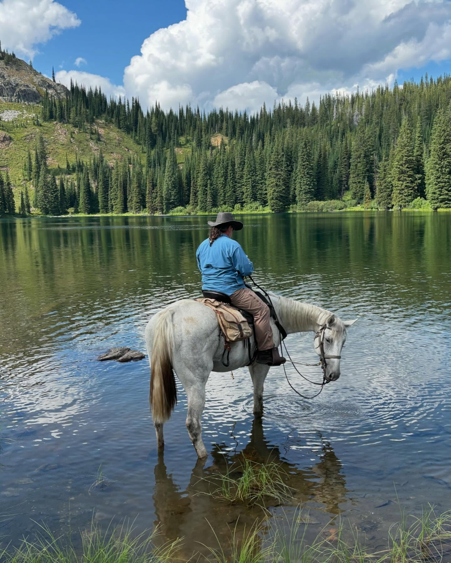 Scenic view of Idaho City mountains