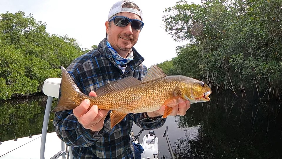 Redfish caught in Fort Lauderdale