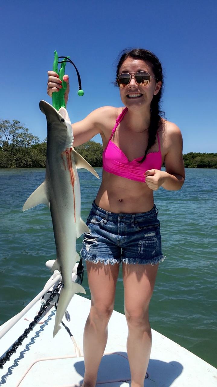 Massive Atlantic Sharpnose Shark caught while fishing in FL